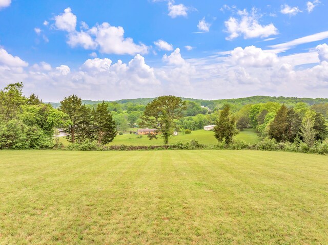 LOT2 County Road 313, Sweetwater, TN 37874 - photo 29