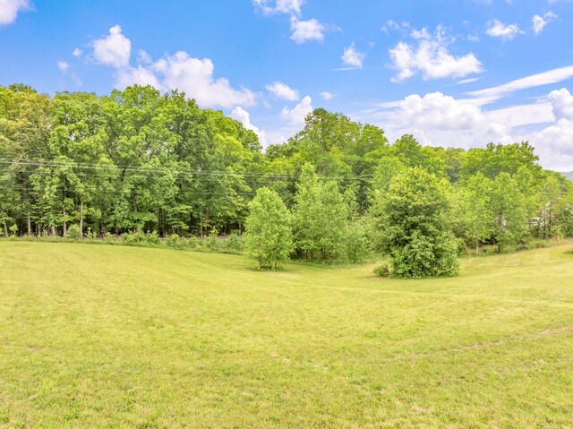 LOT2 County Road 313, Sweetwater, TN 37874 - photo 12