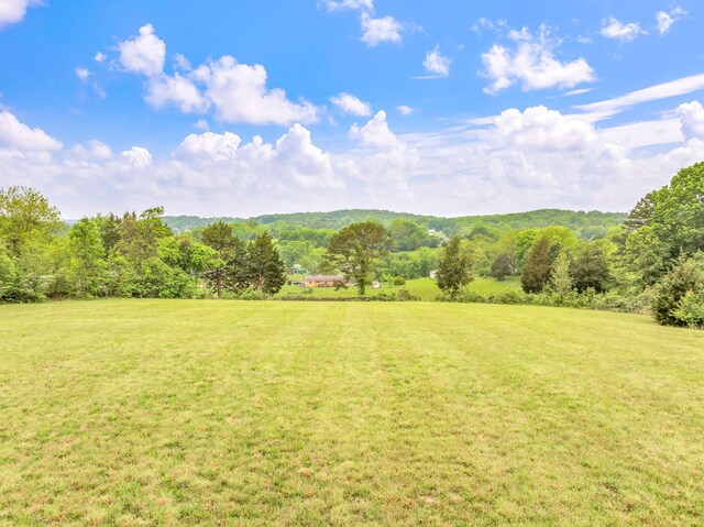 LOT2 County Road 313, Sweetwater, TN 37874 - photo 9