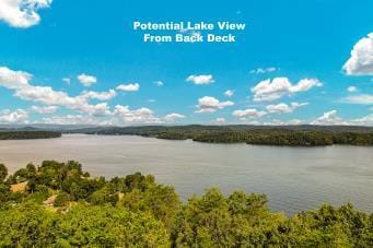 228 Black Hawk Dr, Ten Mile, TN 37880 - photo 2