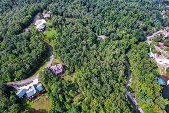 228 Black Hawk Dr, Ten Mile, TN 37880 - photo 5