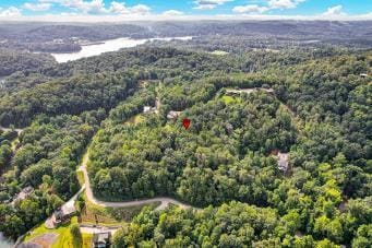 228 Black Hawk Dr, Ten Mile, TN 37880 - photo 37