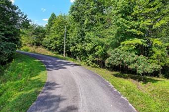 228 Black Hawk Dr, Ten Mile, TN 37880 - photo 24
