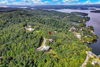 228 Black Hawk Dr, Ten Mile, TN 37880 - photo 33