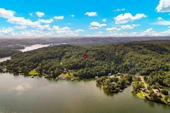 228 Black Hawk Dr, Ten Mile, TN 37880 - photo 15