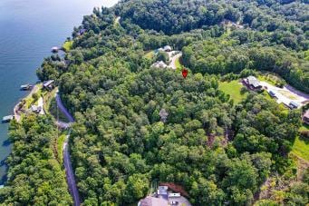 228 Black Hawk Dr, Ten Mile, TN 37880 - photo 19