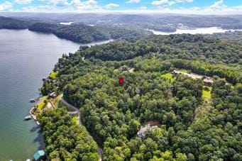 228 Black Hawk Dr, Ten Mile, TN 37880 - photo 27