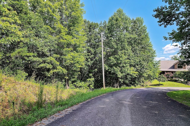 228 Black Hawk Dr, Ten Mile, TN 37880 - photo 36