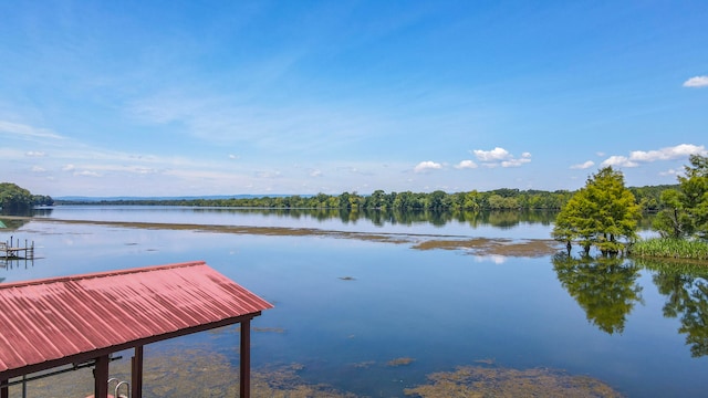 dock area with a water view