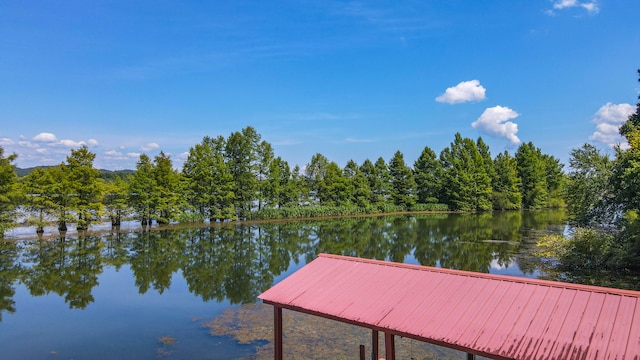 dock area with a water view