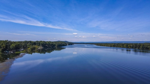 property view of water