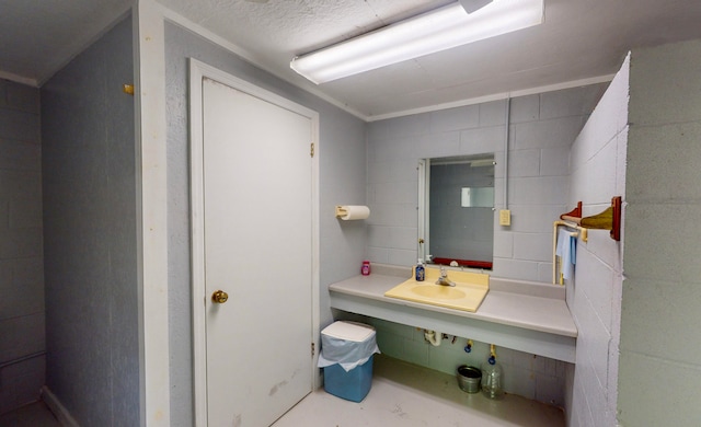 bathroom featuring concrete floors and sink