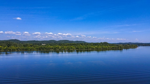 water view featuring a mountain view