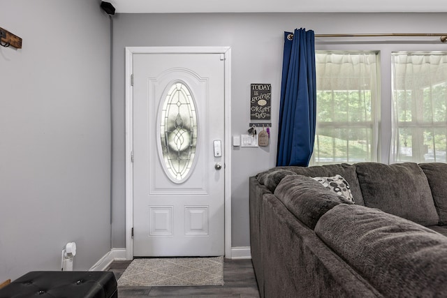 foyer entrance featuring dark hardwood / wood-style flooring