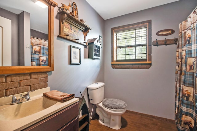 bathroom with walk in shower, vanity, wood-type flooring, and toilet