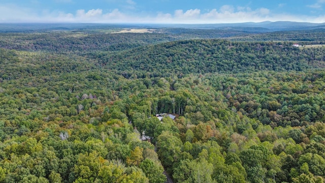 drone / aerial view featuring a mountain view