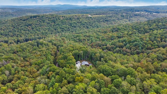 aerial view with a mountain view