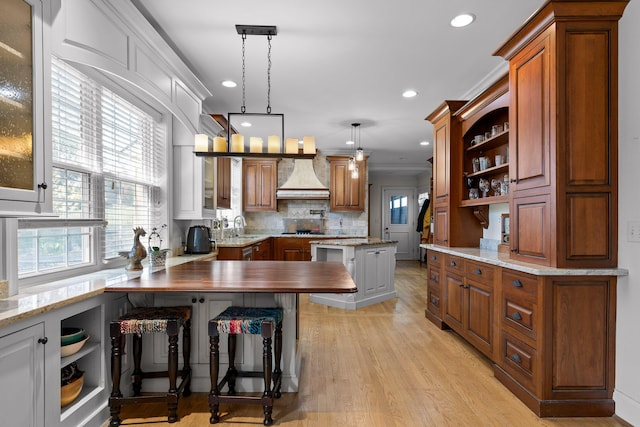 kitchen featuring tasteful backsplash, open shelves, premium range hood, light wood-style floors, and a sink