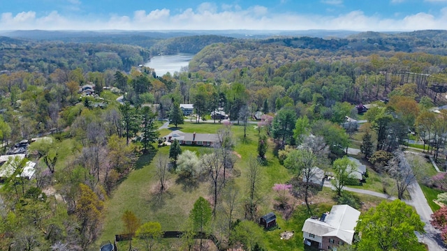 903 Edgewater Ave, Dayton, TN 37321 - photo 34
