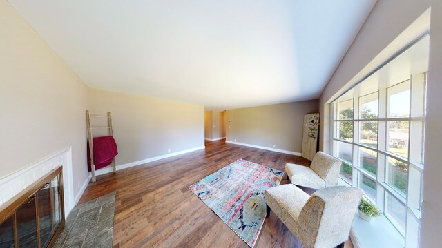 living room with hardwood / wood-style floors and a fireplace