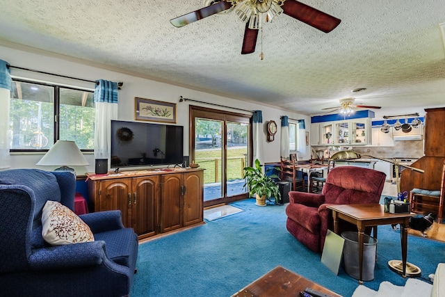 living room with a textured ceiling and light colored carpet