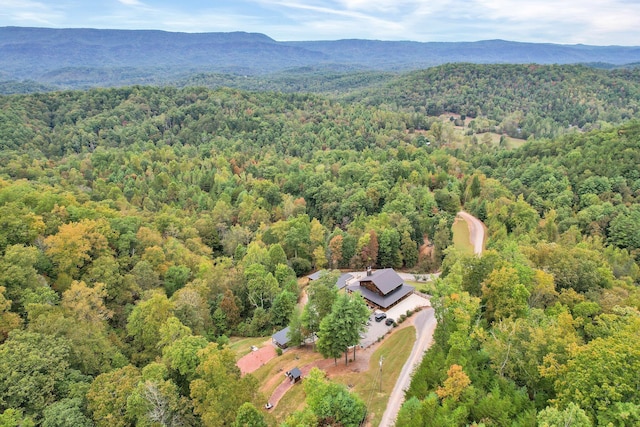 drone / aerial view with a mountain view