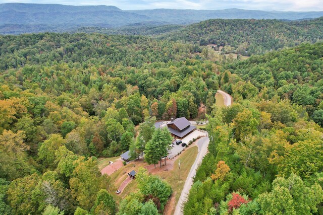 birds eye view of property featuring a mountain view