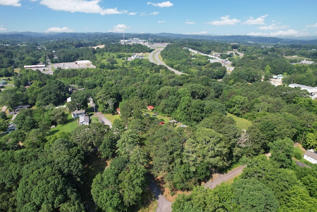 1600 Ridgeview St SE, Cleveland, TN 37323 - photo 47