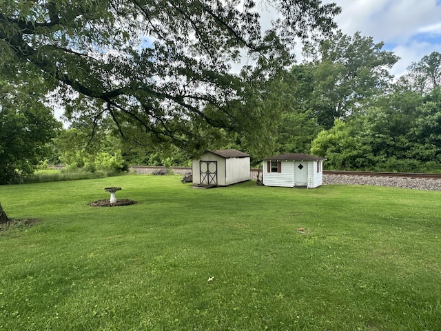 119 Cane Creek Rd, Rocky Top, TN 37769 - view of grassy yard with a storage shed and an outbuilding