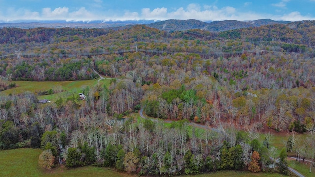 aerial view featuring a mountain view