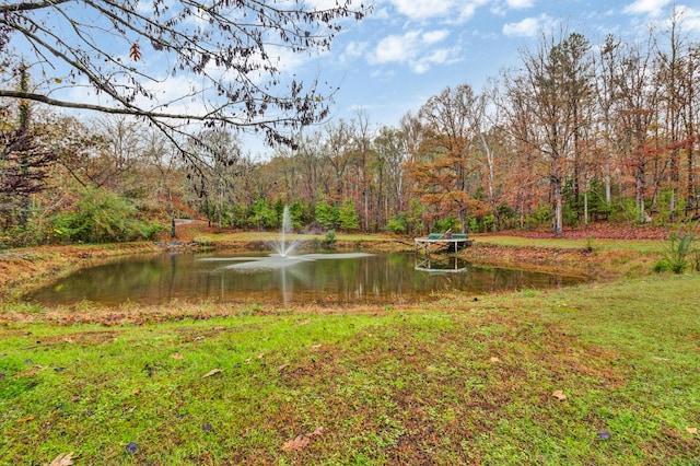 view of water feature featuring a wooded view