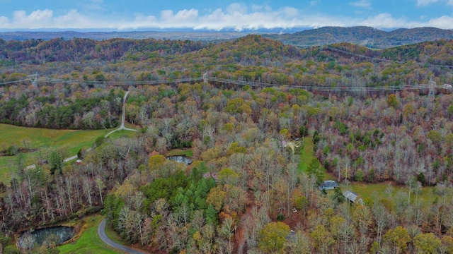 drone / aerial view with a mountain view