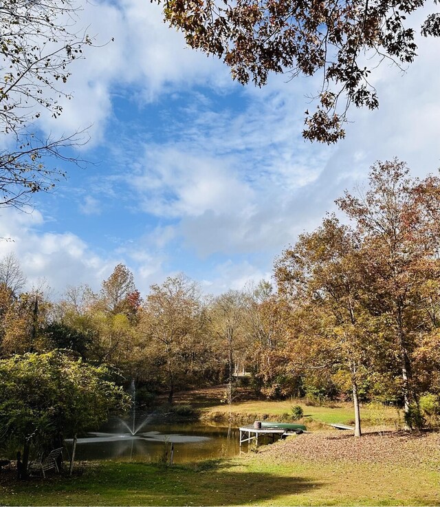 view of community with a water view