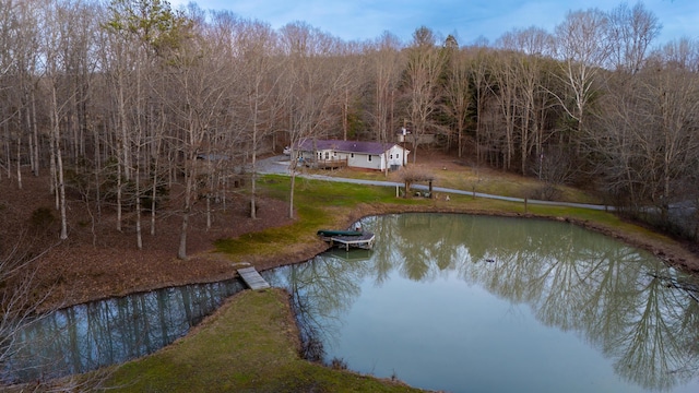 bird's eye view with a water view and a forest view