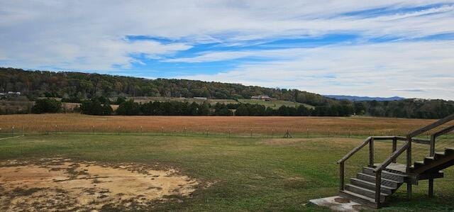 view of yard with a rural view