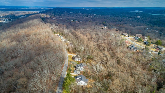 drone / aerial view featuring a mountain view