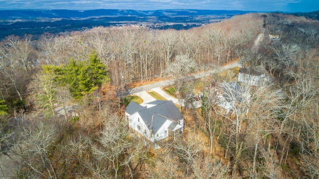 aerial view with a mountain view