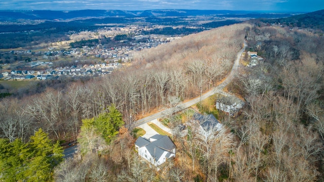 bird's eye view with a mountain view