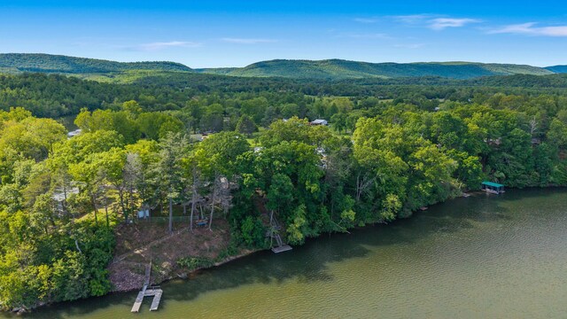 1336 Whites Creek Rd, Spring City, TN 37381 - view of property location with a water and mountain view and a forest
