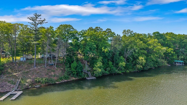 1336 Whites Creek Rd, Spring City, TN 37381 - water view