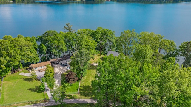 1336 Whites Creek Rd, Spring City, TN 37381 - view of subject property with a large body of water