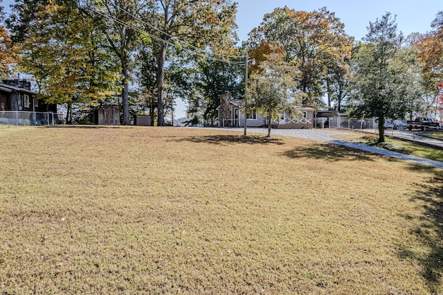 1336 Whites Creek Rd, Spring City, TN 37381 - view of yard