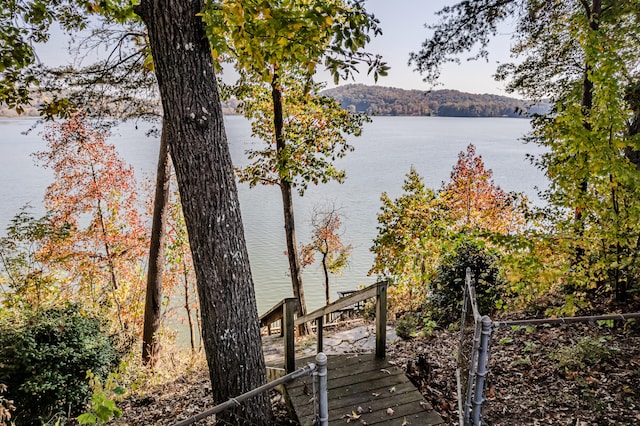 property view of water featuring a mountain view