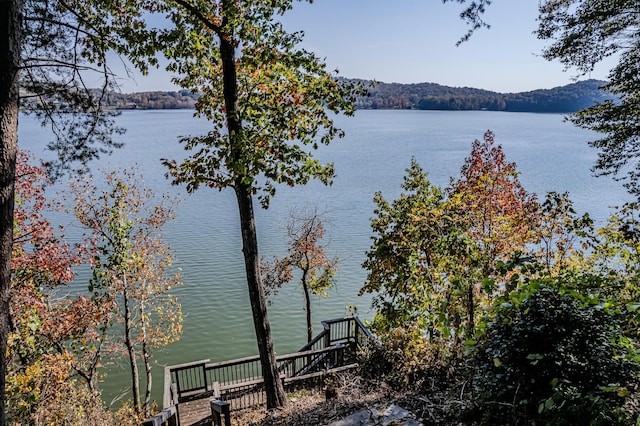 1336 Whites Creek Rd, Spring City, TN 37381 - water view
