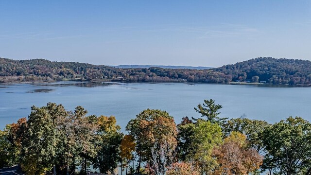 1336 Whites Creek Rd, Spring City, TN 37381 - water view
