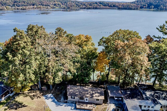 1336 Whites Creek Rd, Spring City, TN 37381 - drone / aerial view of a large body of water and a heavily wooded area