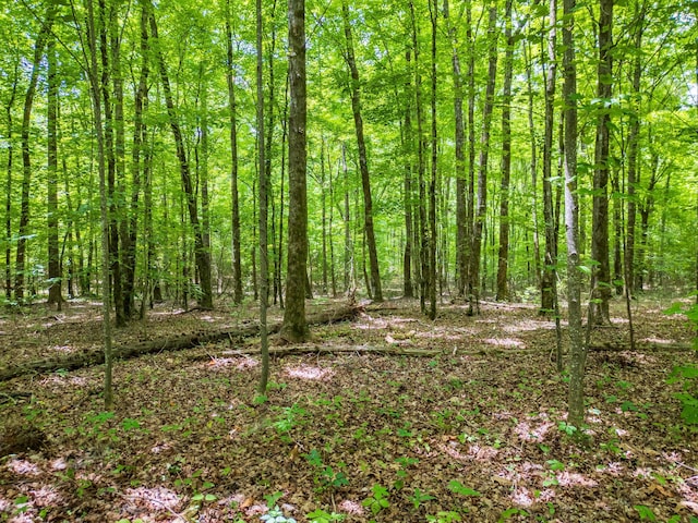 00 Trewhitt Rd SE, Cleveland, TN 37323 - photo 8