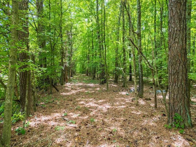 00 Trewhitt Rd SE, Cleveland, TN 37323 - photo 6