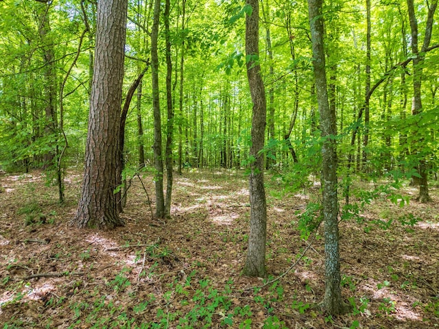 00 Trewhitt Rd SE, Cleveland, TN 37323 - photo 7