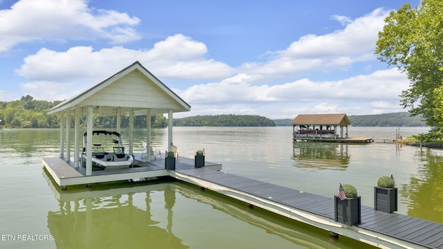 115 Ottawa Pt, Ten Mile, TN 37880 - photo 58
